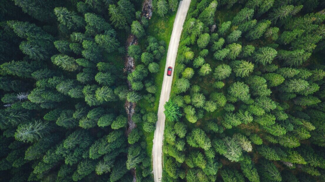 We love the planet, it is important that we continue to make efforts to promote sustainability